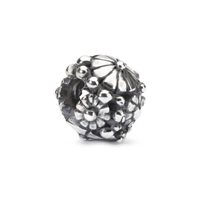 Charm Trollbeads in Argento TAGBE-30145
